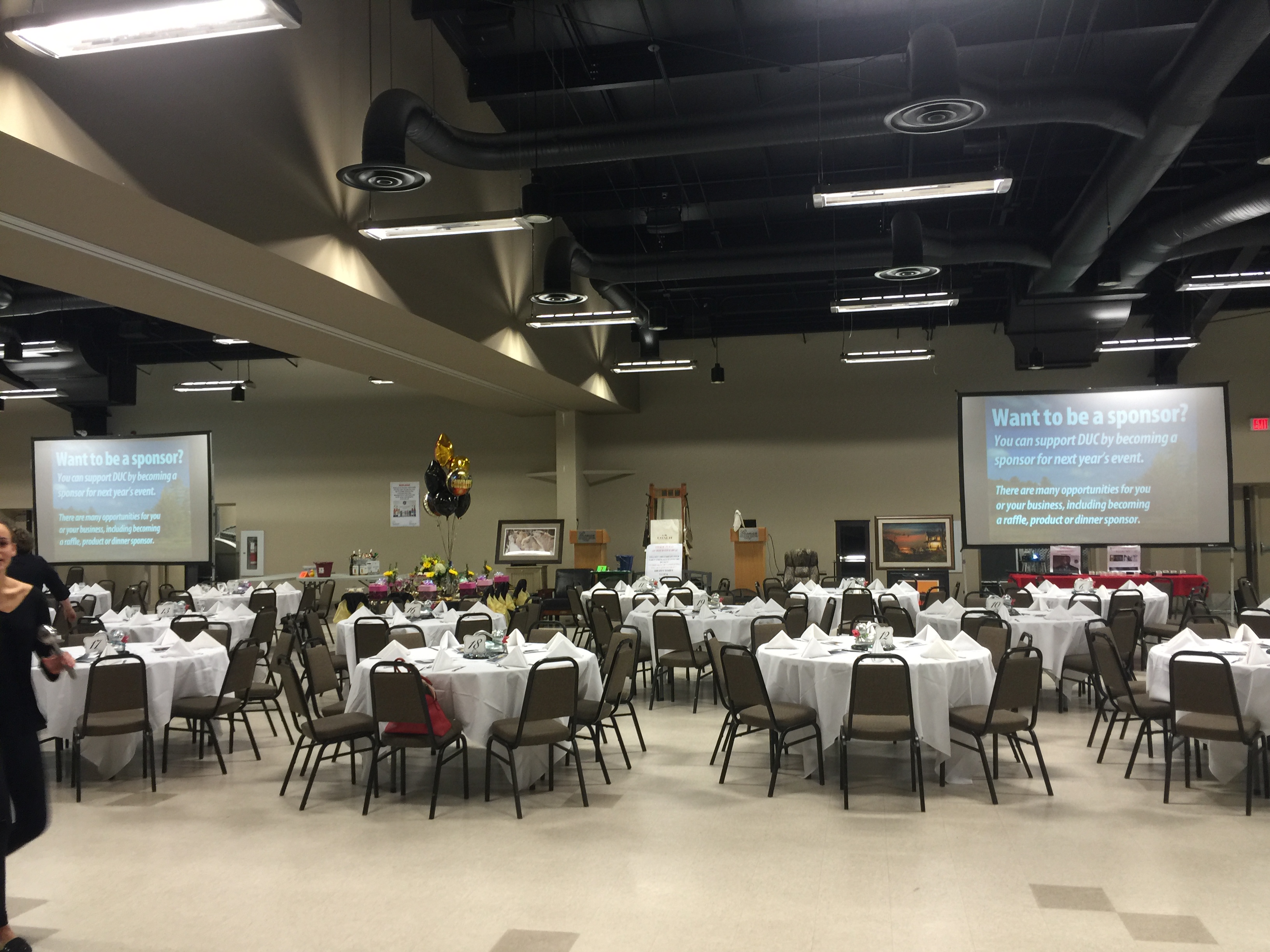 Audio Visual Rentals