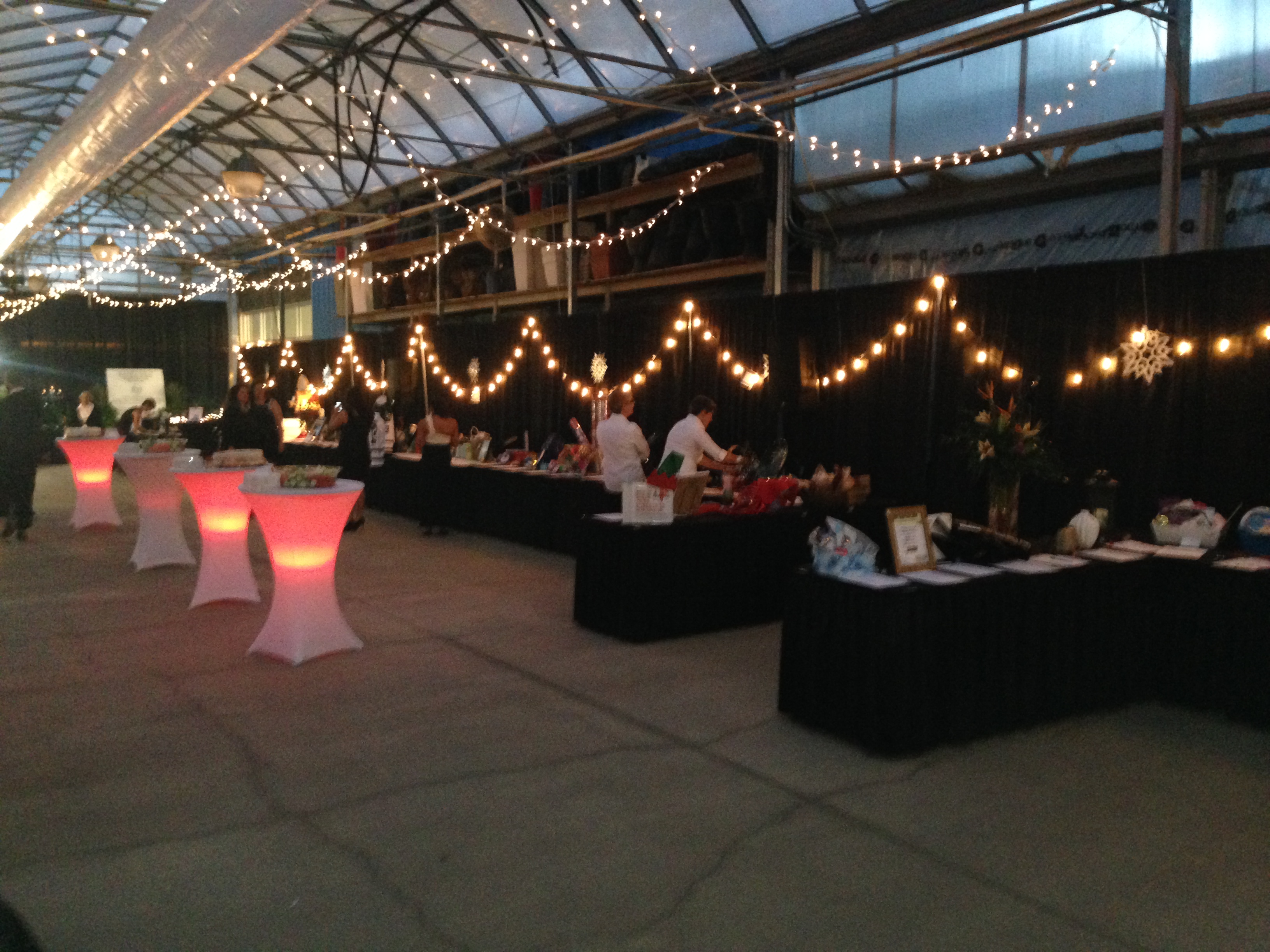 Saskatoon Special Events - Image 27