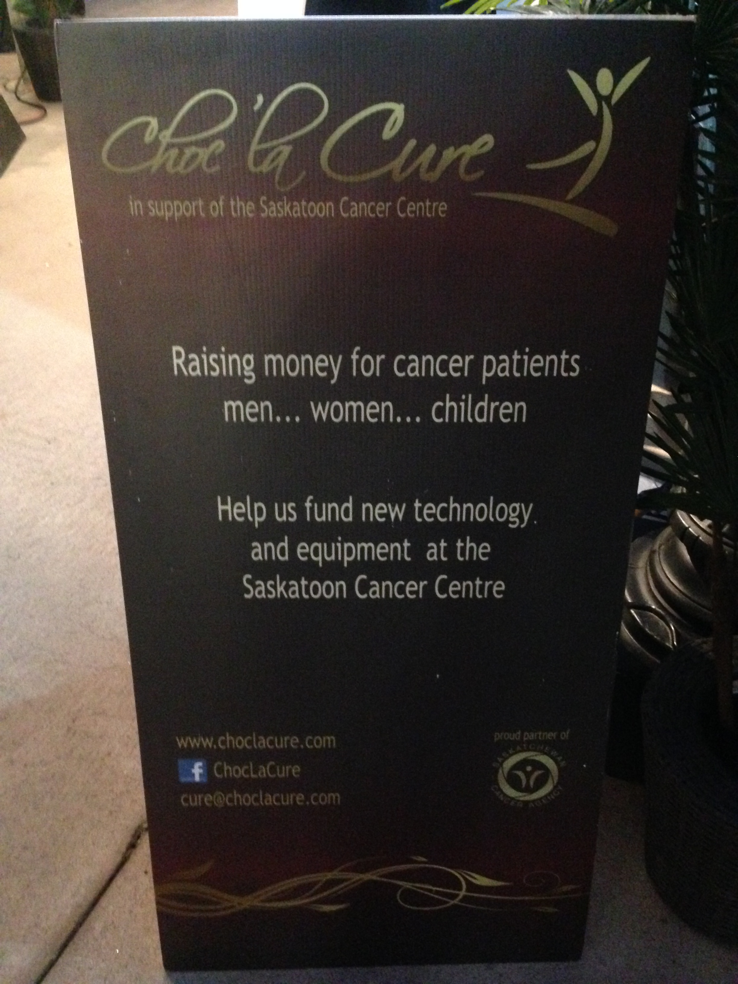Saskatoon Special Events - Image 28