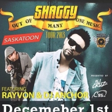 Opening for shaggy!!!