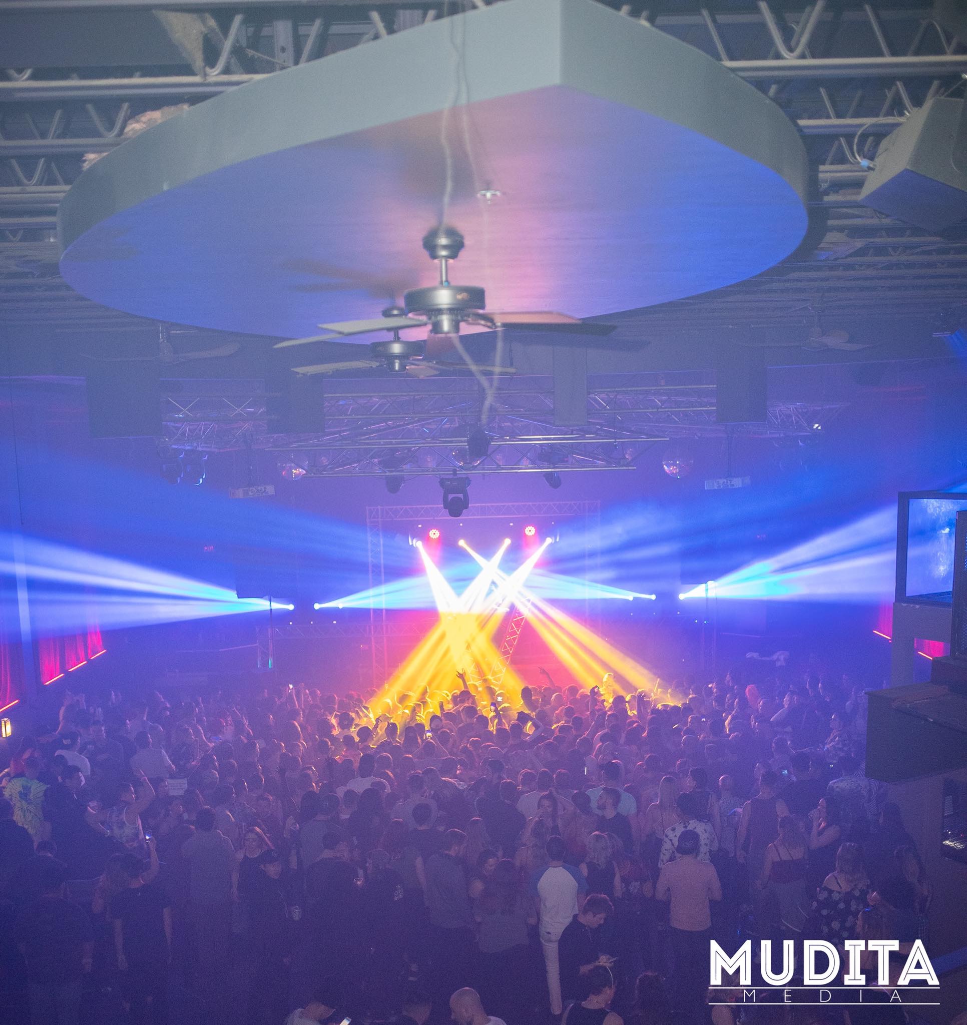 EDM  DJ Shows